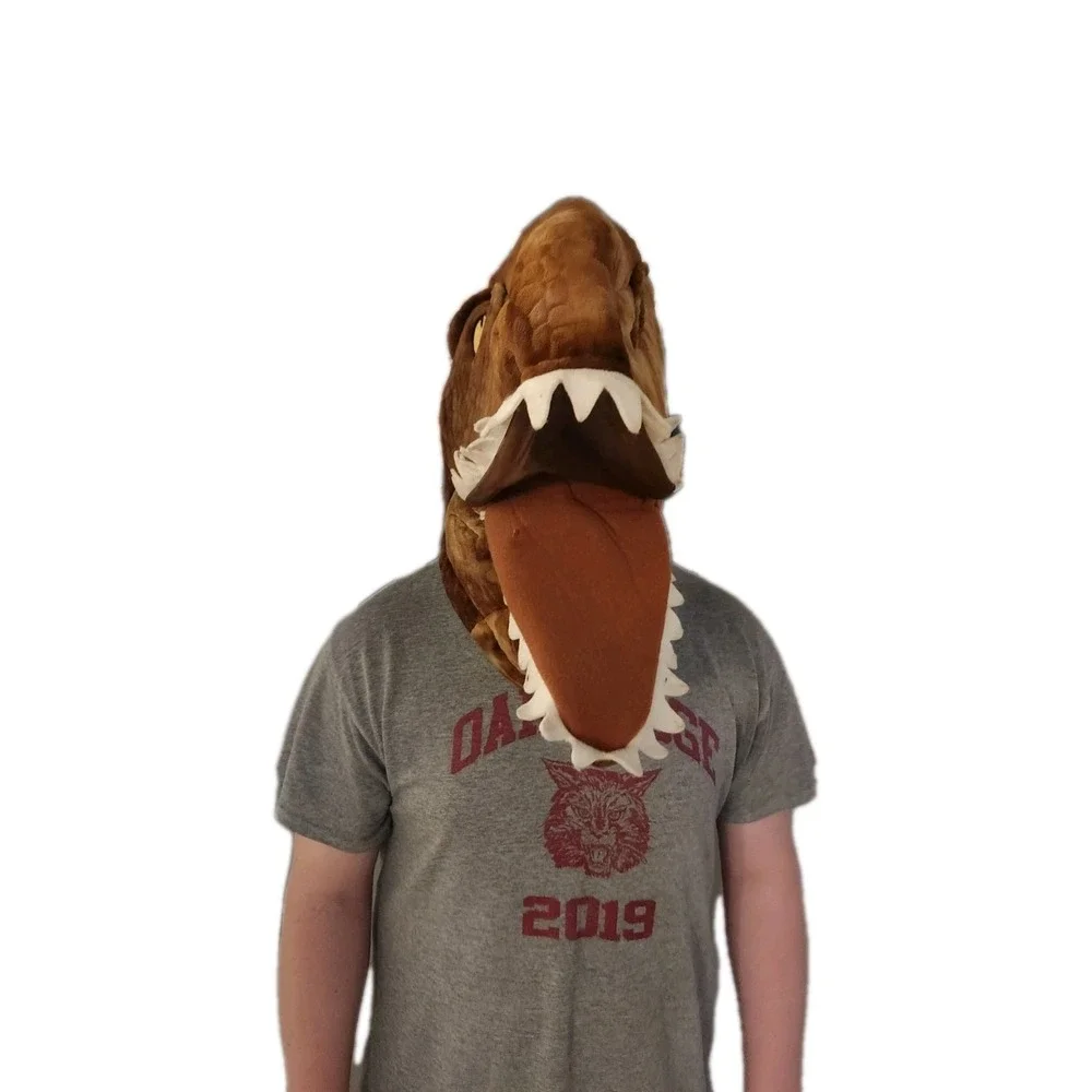 Jurassic World Big Greeter Heads Mask T-Rex Dan Dee Dinosaur Costume Mask 22x16‎